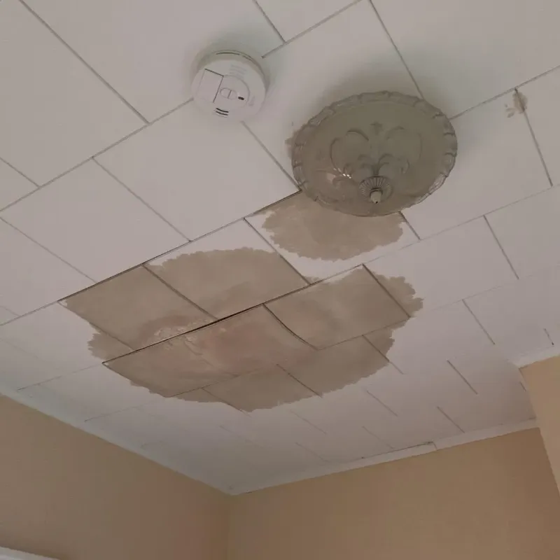 Ceiling Water Damage Repair in East Palestine, OH