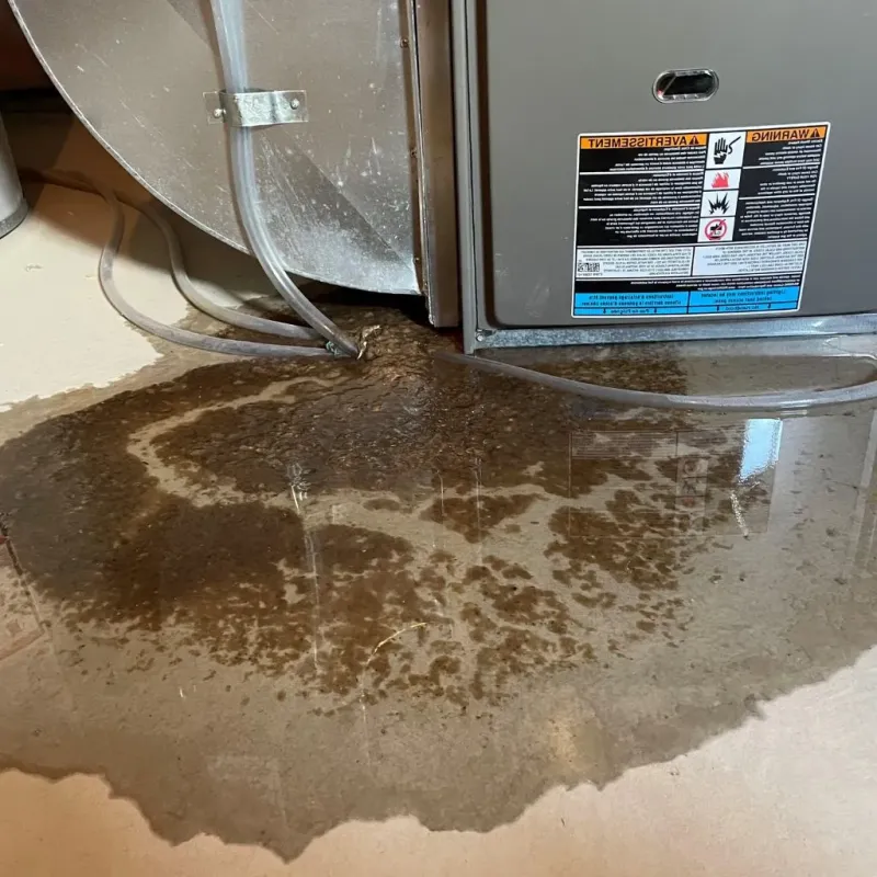 Pipe Burst and Leak Restoration in East Palestine, OH