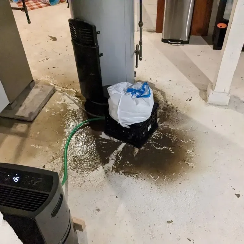 Sewage Backup Cleanup Service in East Palestine, OH